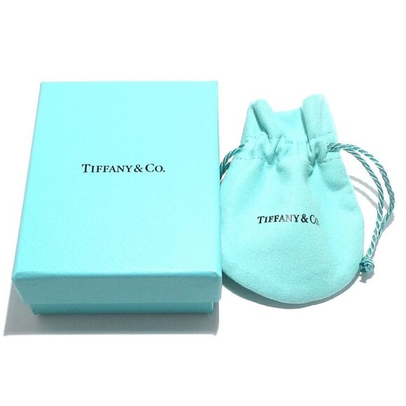 Auth TIFFANY&Co. Cobblestone Key - Pt950 Diamond Ruby Pendant Head - Picture 4 of 11